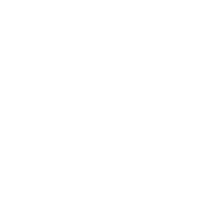 CSS Icon