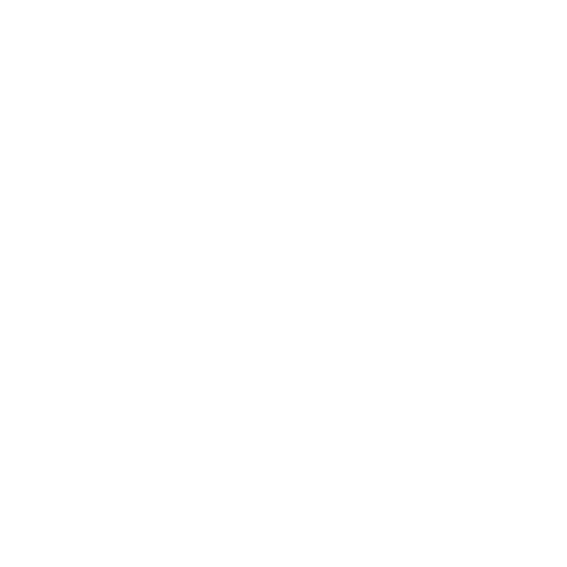 Python Icon