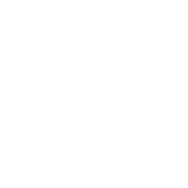 WP icon